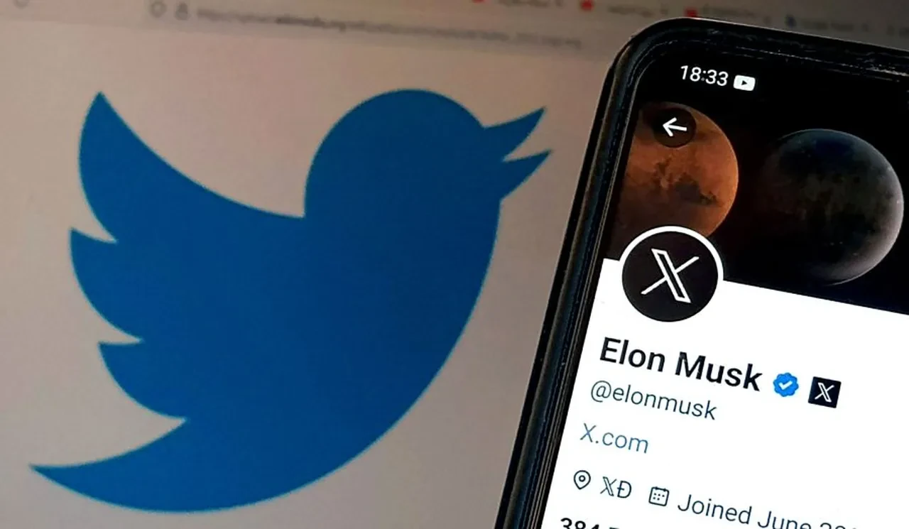 Twitter'ın ikonik 'mavi kuş'u açık artırmaya çıktı! Dudak uçuklatan fiyata satılacak