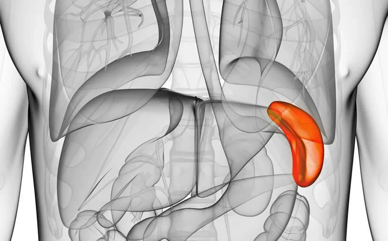 13 yaşında aniden hayatını kaybetti! Bir organının eksik olduğu adli tıp raporunda ortaya çıktı
