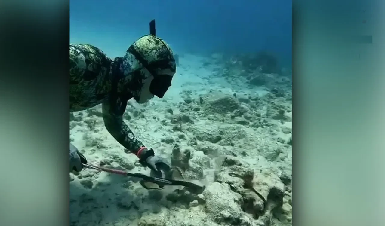 Ahtapot az kalsın dalgıcı boğuyordu! Şnorkelli dalışta zor anlar