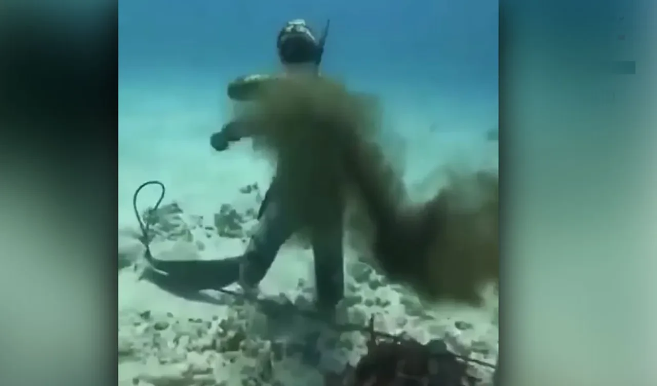 Ahtapot az kalsın dalgıcı boğuyordu! Şnorkelli dalışta zor anlar