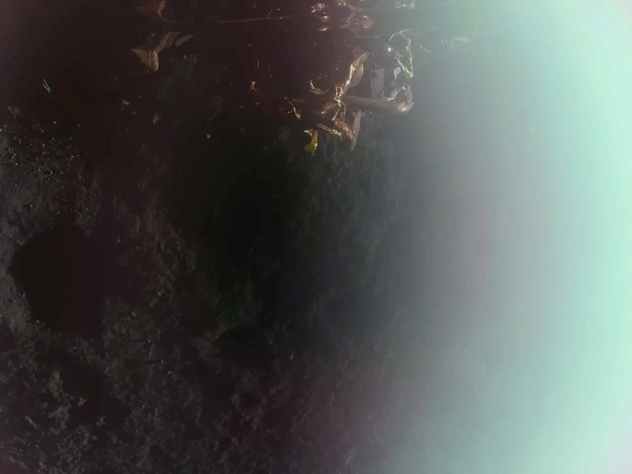 Blue Ghost uzay aracı Ay'a iniş yaptı! 