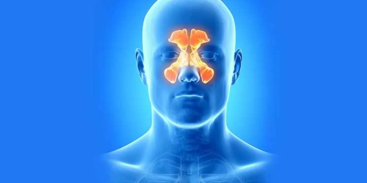 Türk hekimlerinin başarısı literatüre girdi! Beyin ameliyatı sonrası oluşan soruna yeni cerrahi çözüm