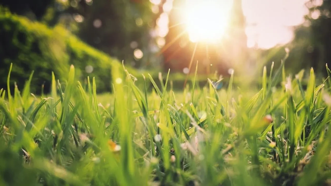 Ekinoks nedir? İlkbahar ekinoksu tarihi araştırma konusu oldu