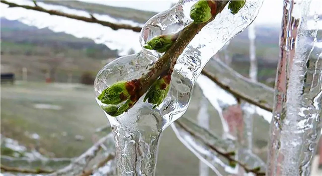 Meteoroloji'den 33 il için sarı alarm! Kar, sağanak ve fırtına kapıda