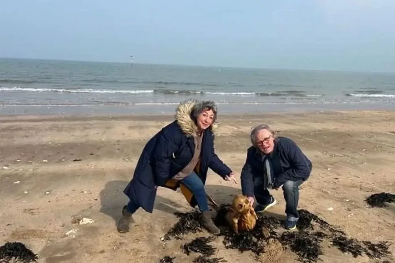 Sahile vuran ilginç obje herkesi şaşırttı! Plaja akın edip ne olduğunu anlamaya çalıştılar