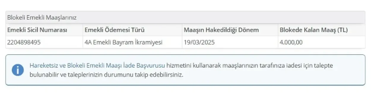 Emekli ikramiyesi e-Devlet'te! SGK son hazırlıklarını tamamladı: O tarihte hesaplarda olacak