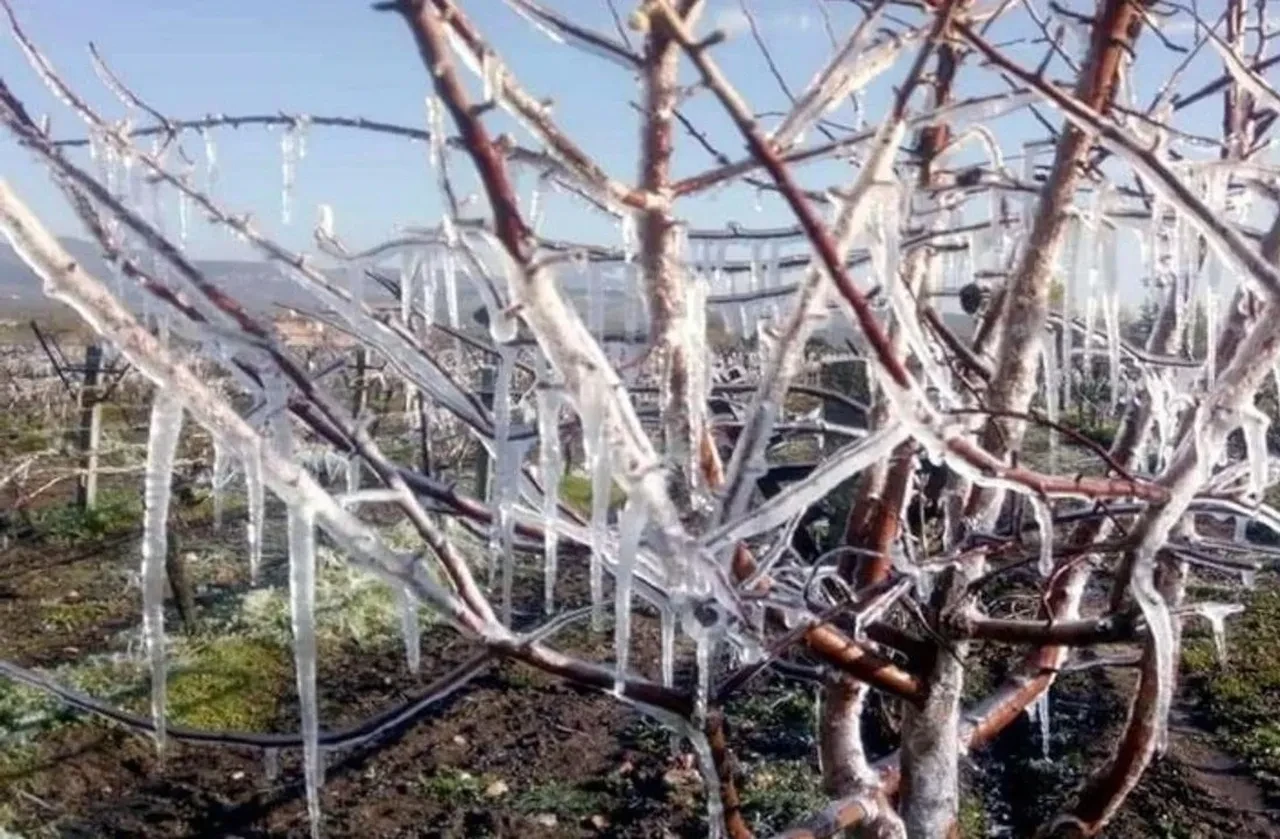 Meteoroloji duyurdu, sıcaklıklar artıyor! 4 ilde yağış var | 23 Mart Hava durumu