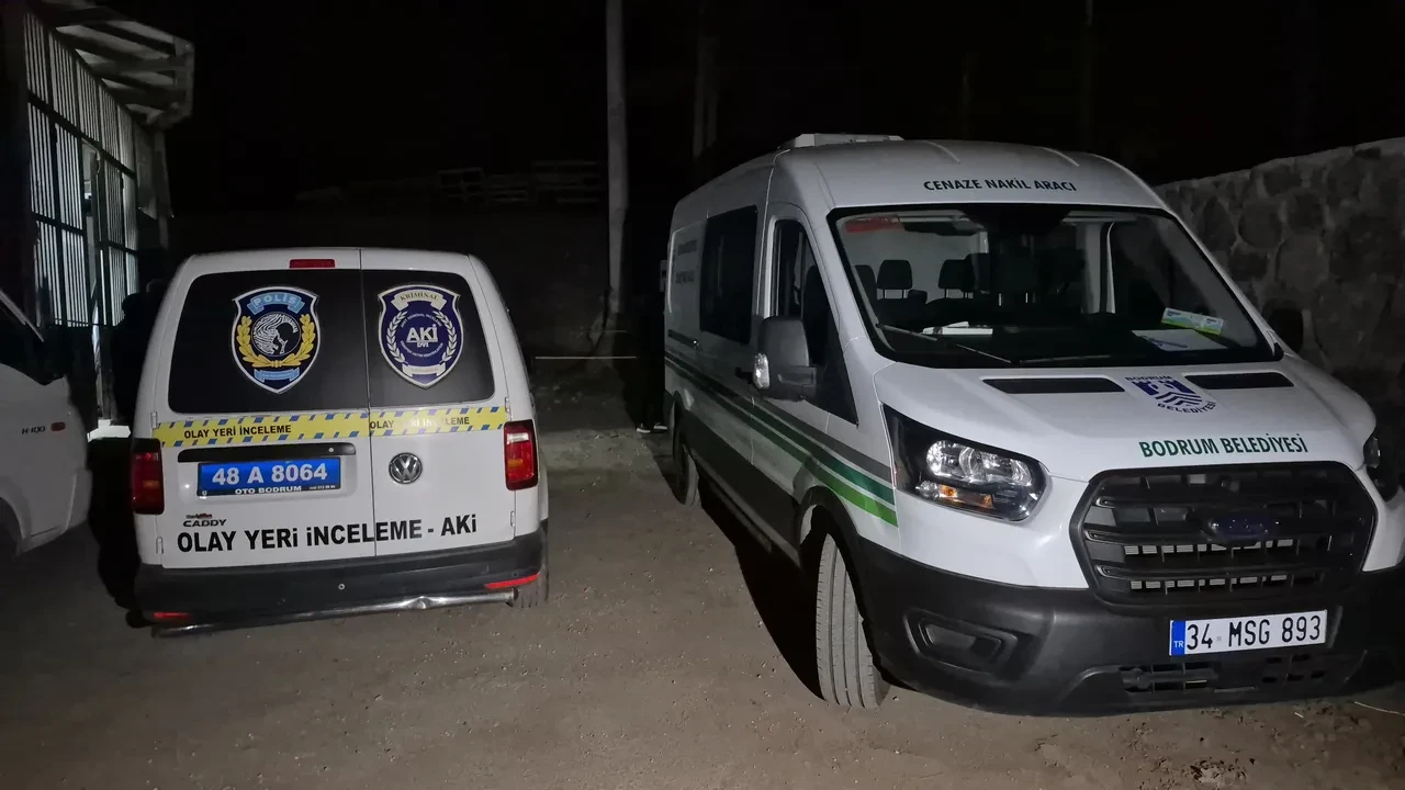 Bodrum'daki vahşetin detayları ortaya çıktı! Taciz iddiası kan dondurdu
