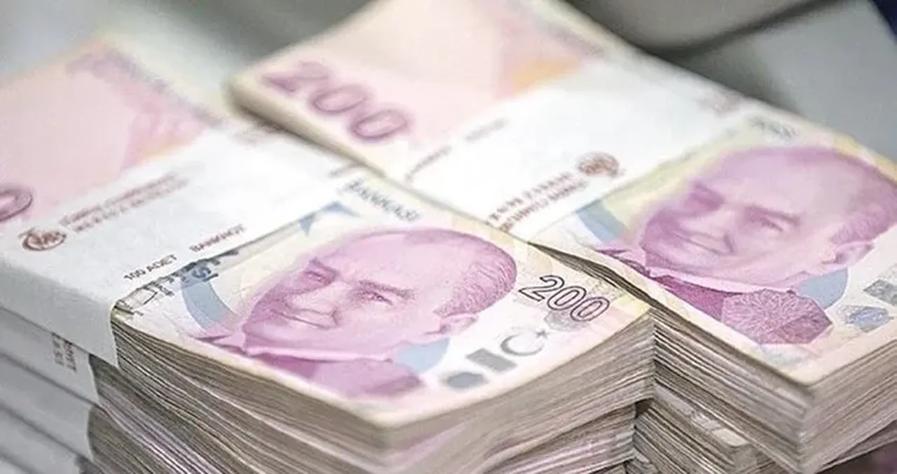 Bankaların güncel mevduat faiz oranları araştırılıyor