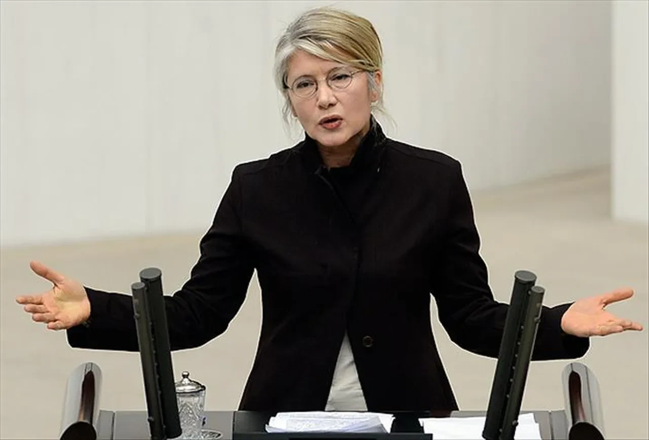 Emine Ülker Tarhan nerede? Eski konuşmaları sonrası şimdi ne yapıyor merak edildi