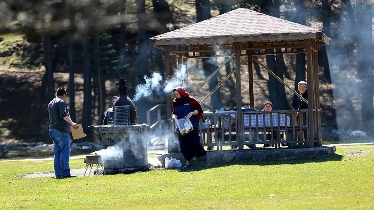 Ormanlık alanda ateşli piknik ve mangal 5 ay yasaklandı