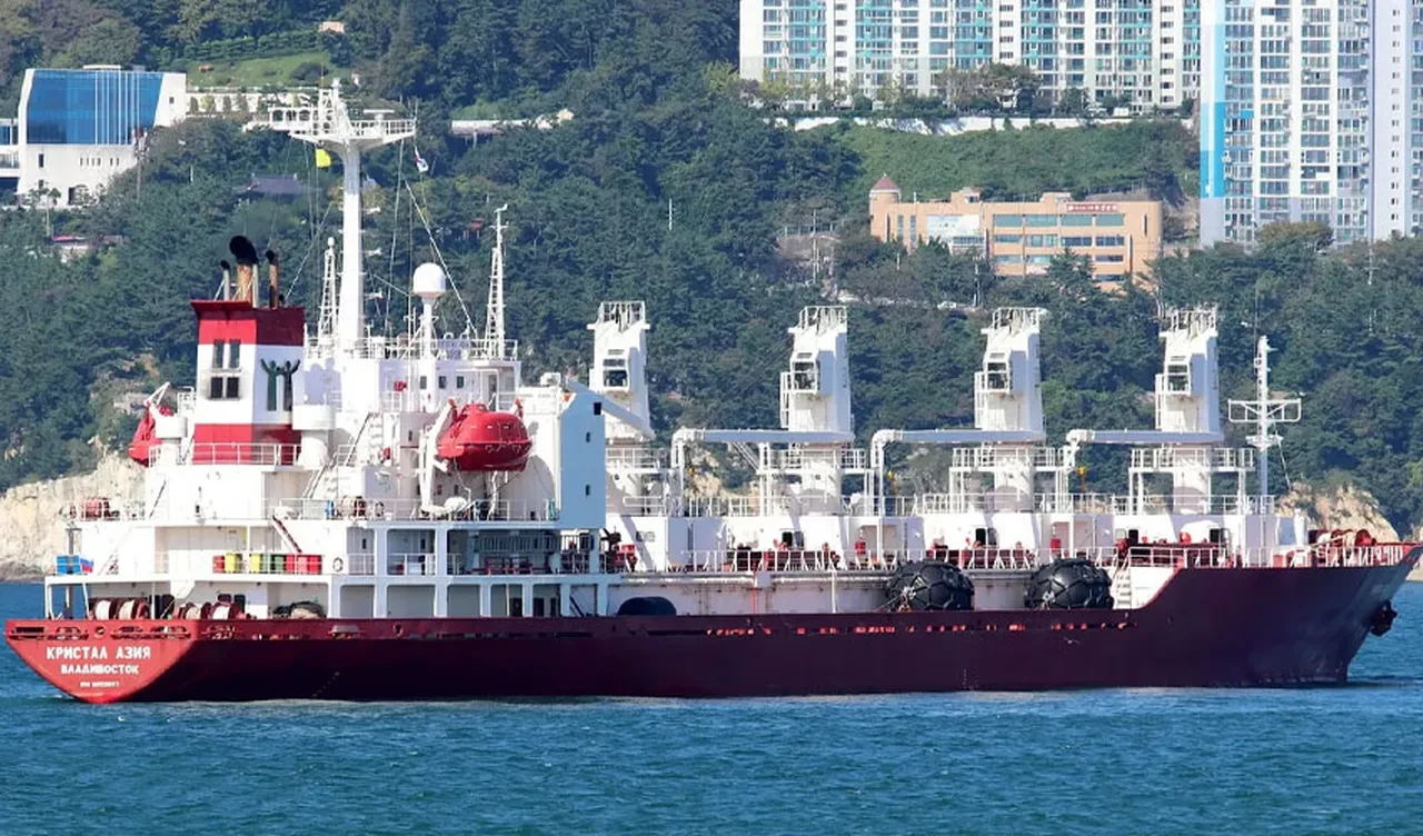 Güney Kore açıklarındaki Rus gemisinde patlama: Çok sayıda yaralı var