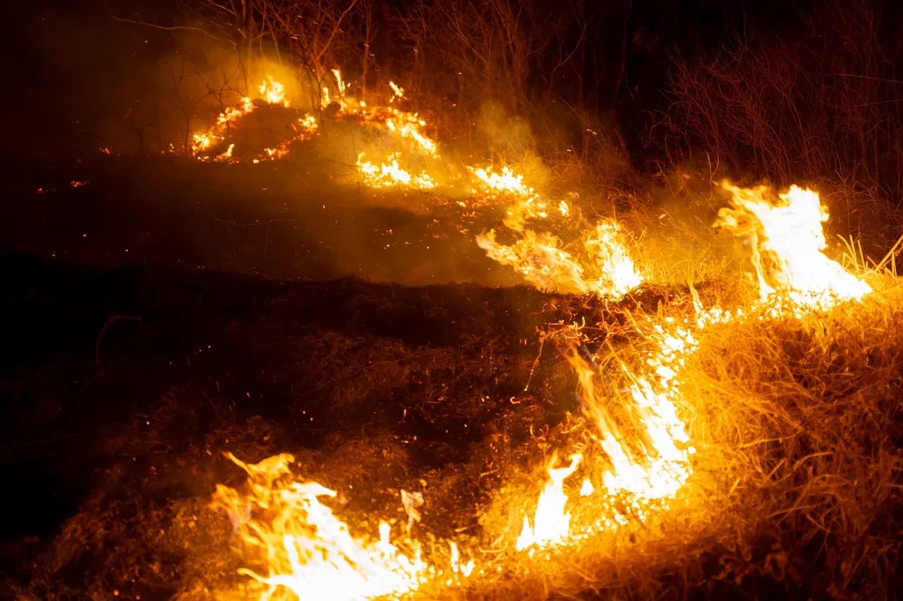 Güney Kore'de yangın faciası! 15 kişi öldü, binlerce hektarlık alan kül oldu