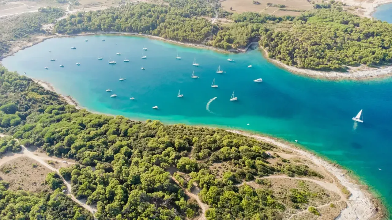 Popüler tatil bölgesine adeta saldırdılar! Bu balığı gördüğünüz yerde kaçın