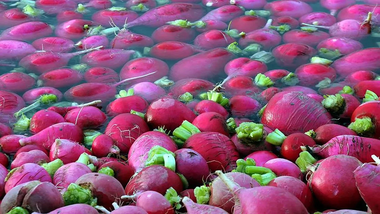 Turpun büyüğü heybede ne demek? İşte hikayesi