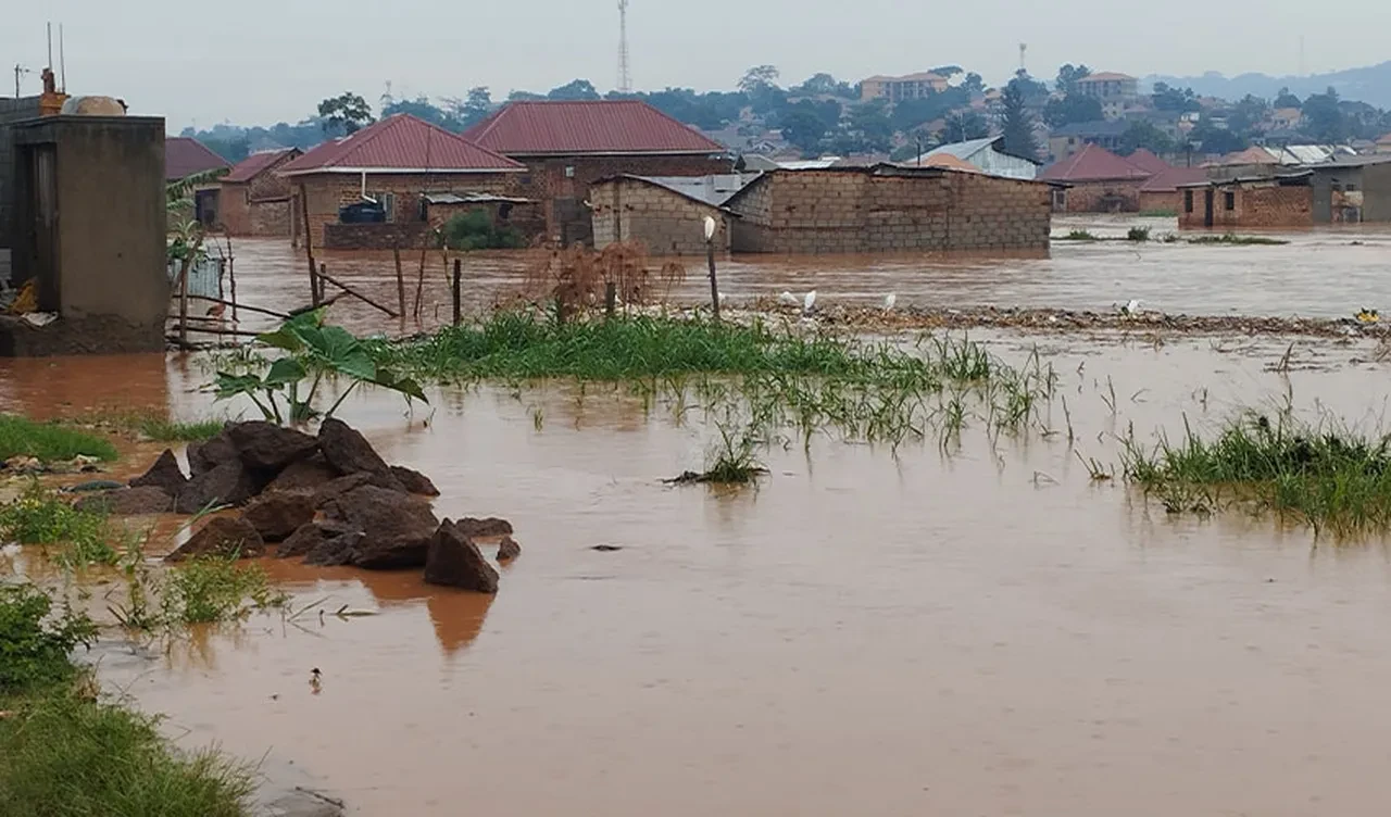 Uganda felaketi yaşıyor! Başkent sular altında kaldı: Ölüler var