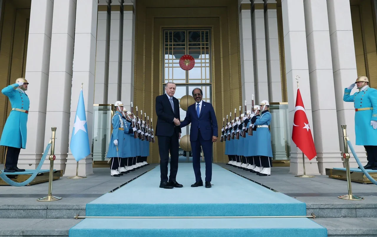 Cumhurbaşkanı Erdoğan, Somali Cumhurbaşkanı ile görüştü! Etiyopya ile kalıcı barış vurgusu