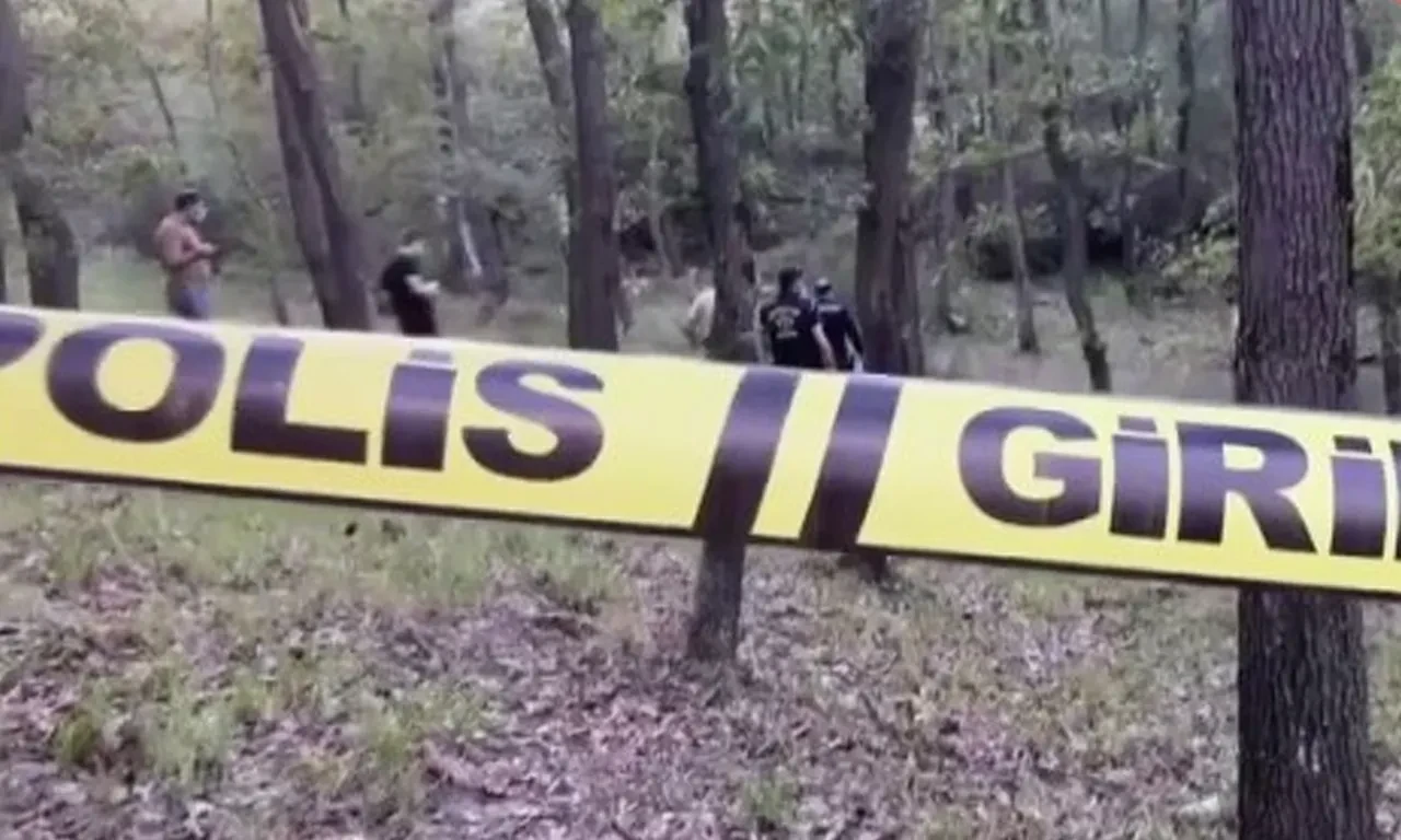 Görenler dehşete düştü! Ağaca asılı halde bulundu