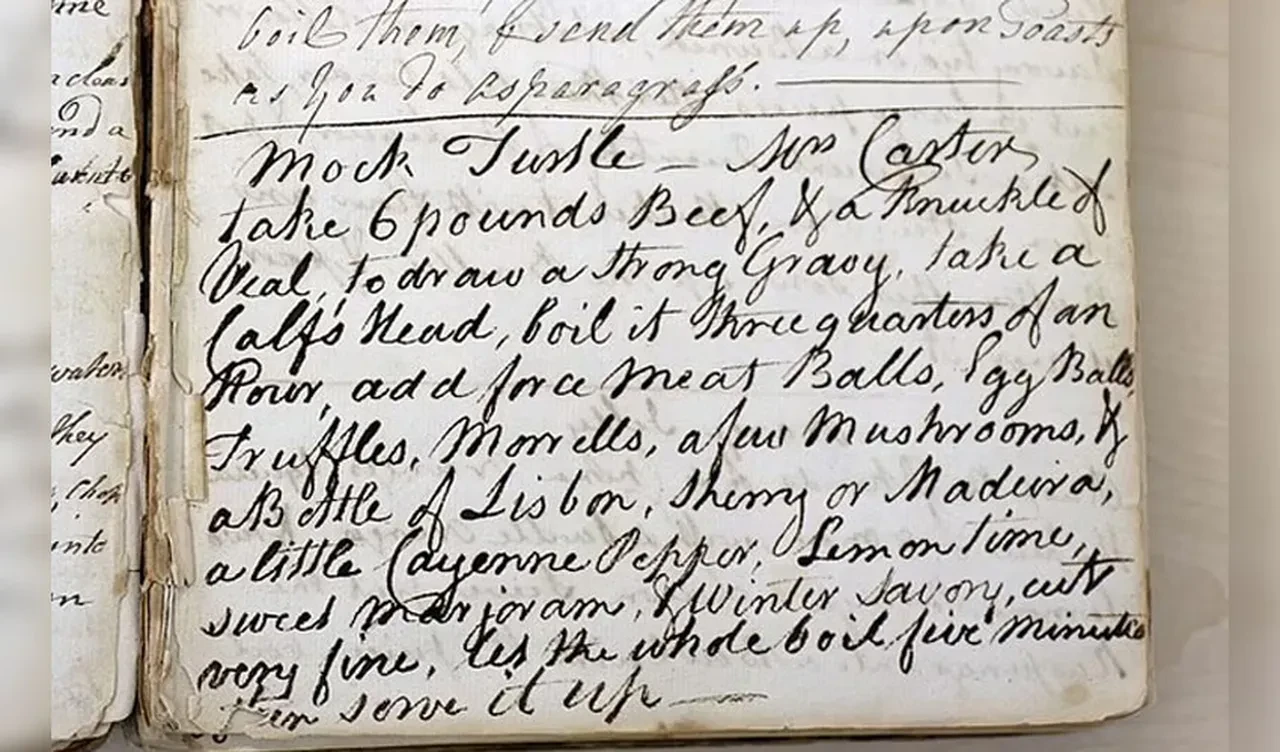 Karton kutuda bulunan 230 yıllık yemek kitabı! Bir tarif var ki herkesin midesini bulandırıyor