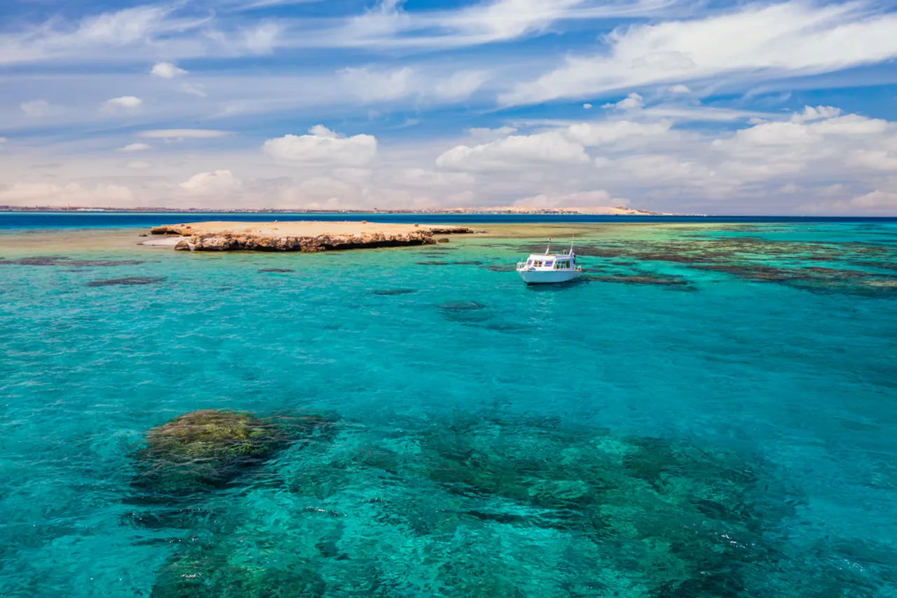 Mercan resiflerini görmek için bindikleri denizaltı alabora oldu: Çok sayıda ölü var