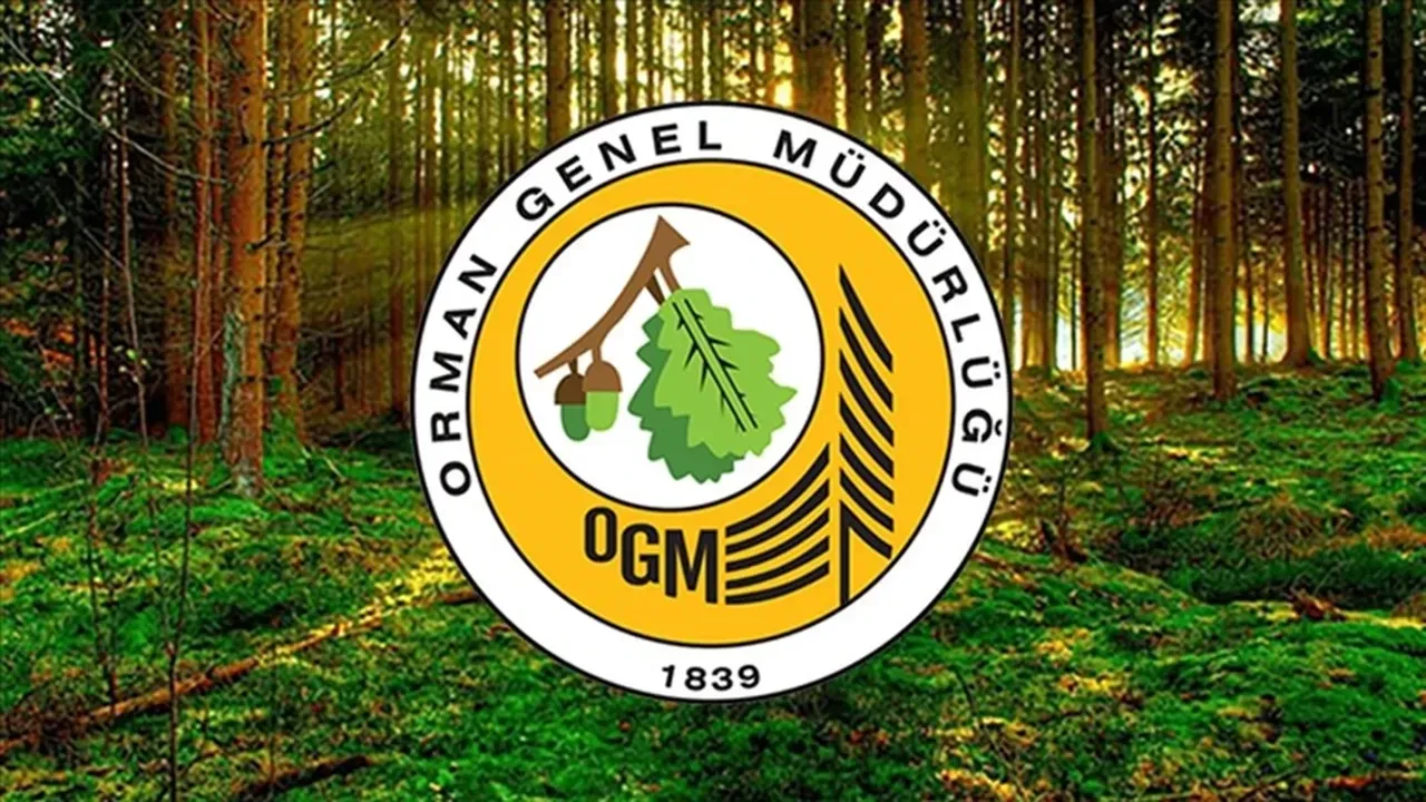 Orman Genel Müdürlüğü işçi alımı kura çekimi ne zaman? OGM 4500 personel alacak