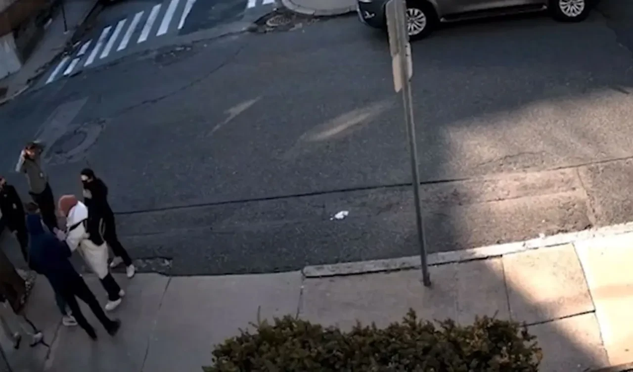 ABD'de gözaltına alınan Rümeysa Öztürk'ü gözaltına alınması için kanıt bulunamadı!