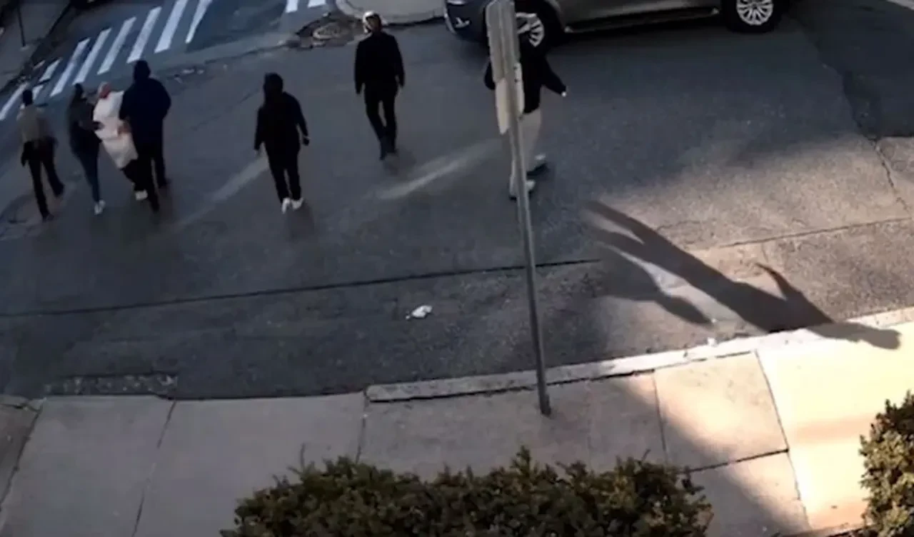 ABD'de gözaltına alınan Rümeysa Öztürk'ü gözaltına alınması için kanıt bulunamadı!