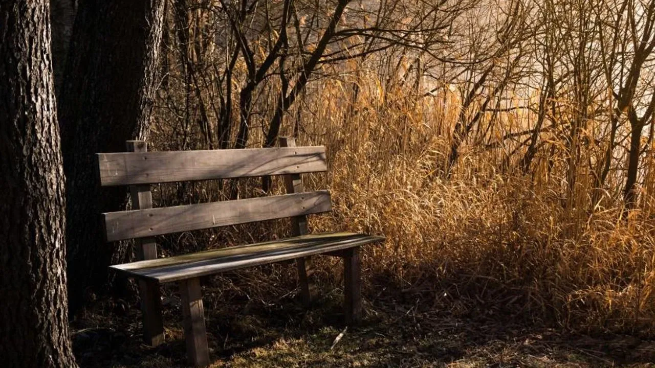 Hüzün: Anlamak, yaşamak ve geride bırakmak!