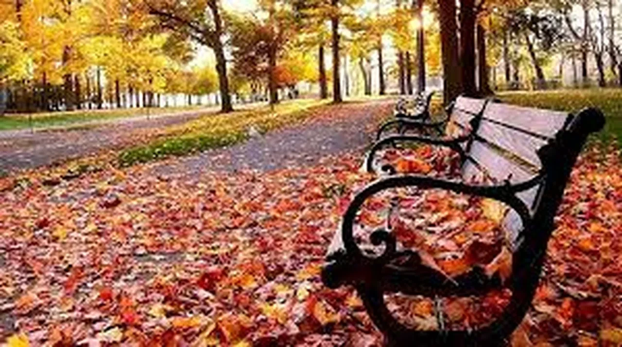 Hüzün: Anlamak, yaşamak ve geride bırakmak!