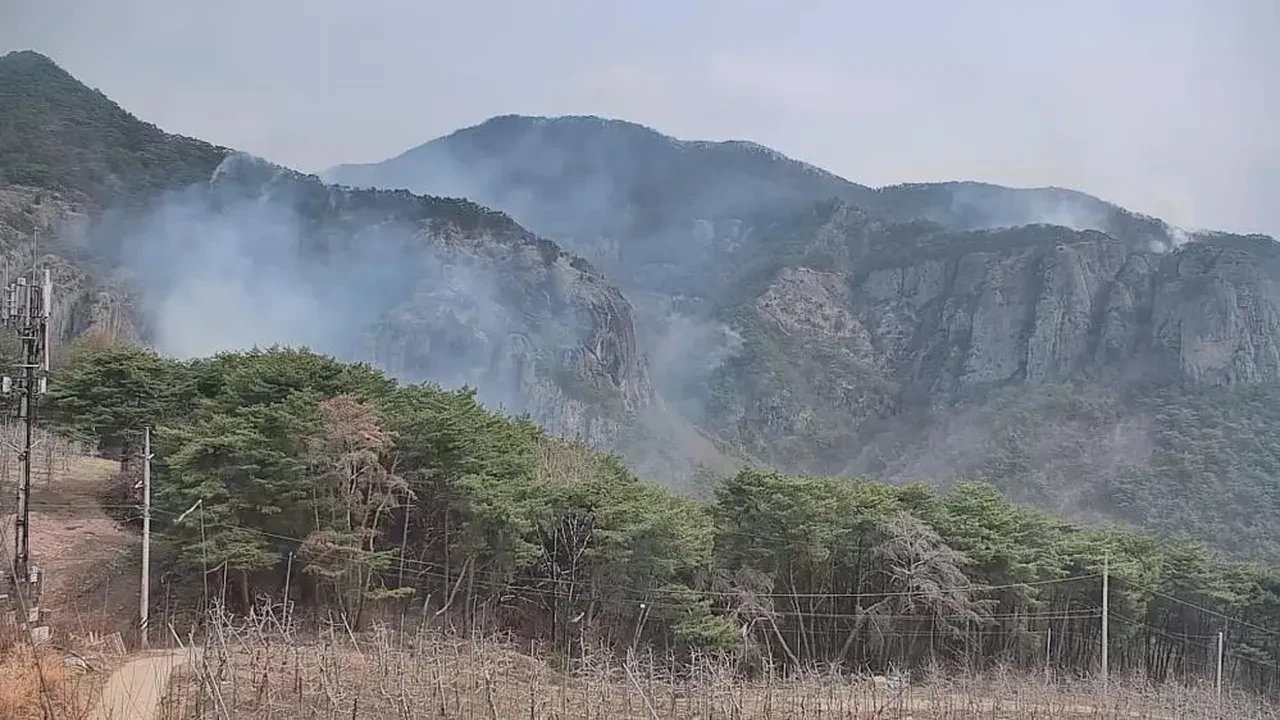 Türkiye Güney Kore’deki orman yangınlarına kayıtsız kalmadı! Dışişleri’nden açıklama