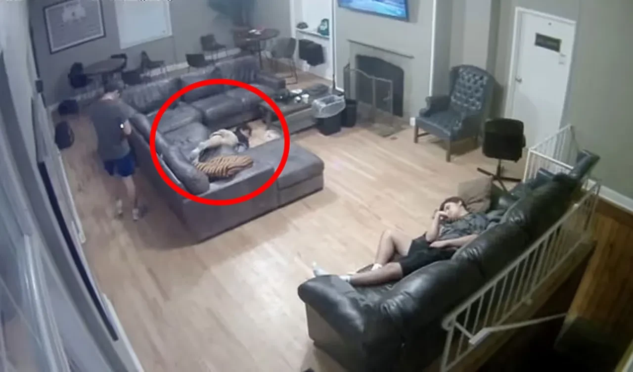 Üniversitedeki kardeşlik örgütüne katılmak istedi! Gözleri bağlandı, bodrumda ölüme terk edildi