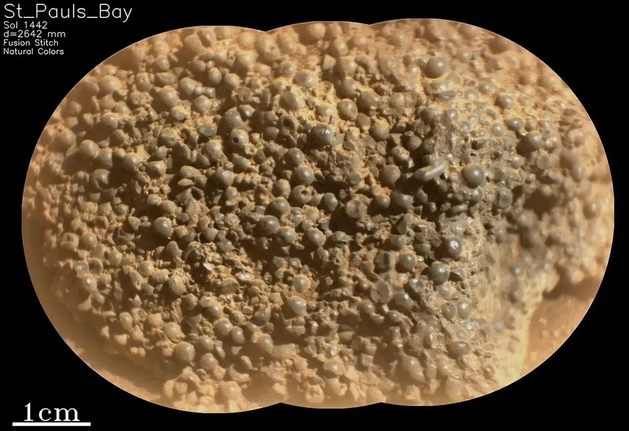 Bilim insanları dahi tanımlayamadı! Mars'ta kayda alındı!