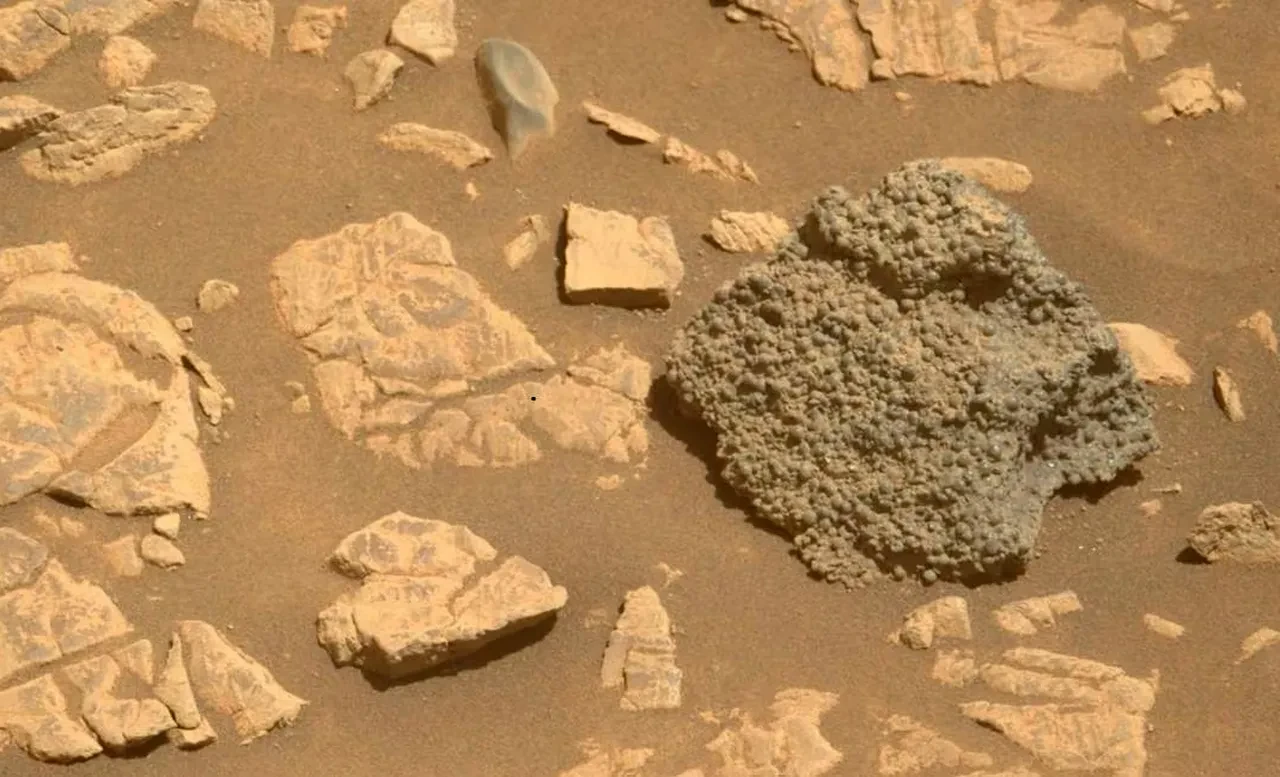 Bilim insanları dahi tanımlayamadı! Mars'ta kayda alındı!