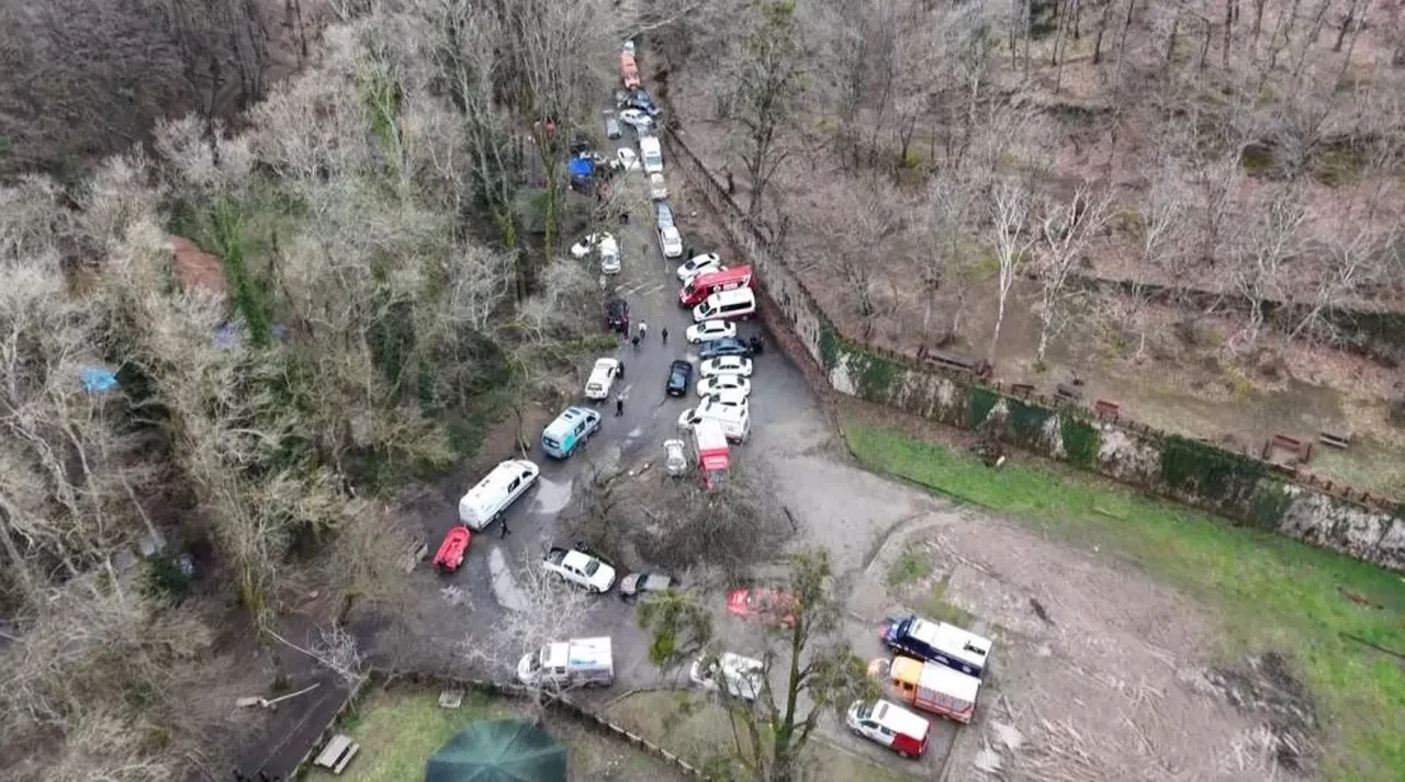 Belgrad Ormanı'nda kaybolan Ece Gürel bulundu mu? Son mesajları ortaya çıktı: "Ruhum geride kaldı"