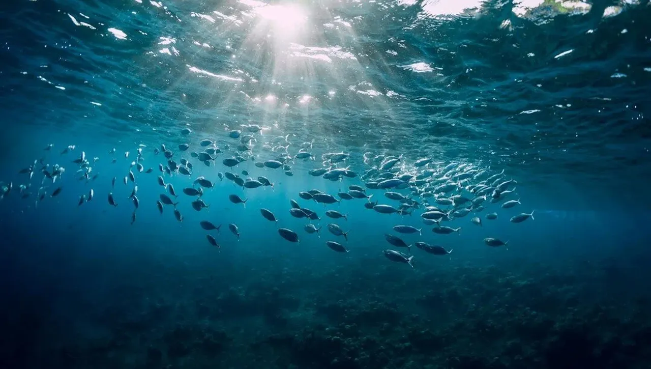 Bilim insanları tarih verdi, kimse hazır değil! En büyük okyanus akıntısı krizi tetikliyor