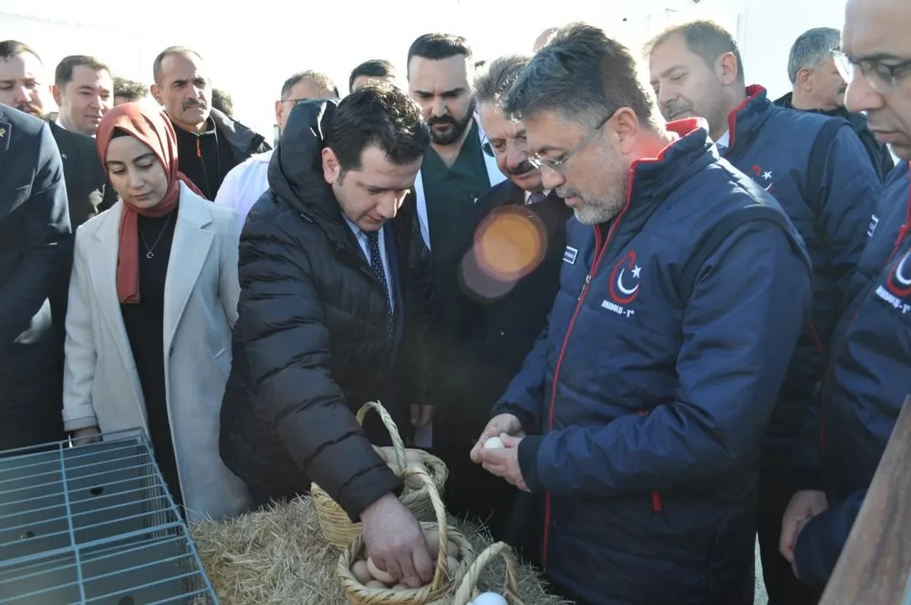 Kırmızı ete zam gelecek mi? Bakan İbrahim Yumaklı açıkladı
