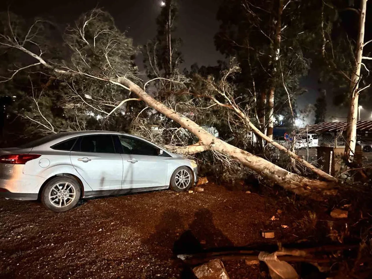 Hatay'da fırtına: Tekneler alabora oldu, ağaçlar devrildi