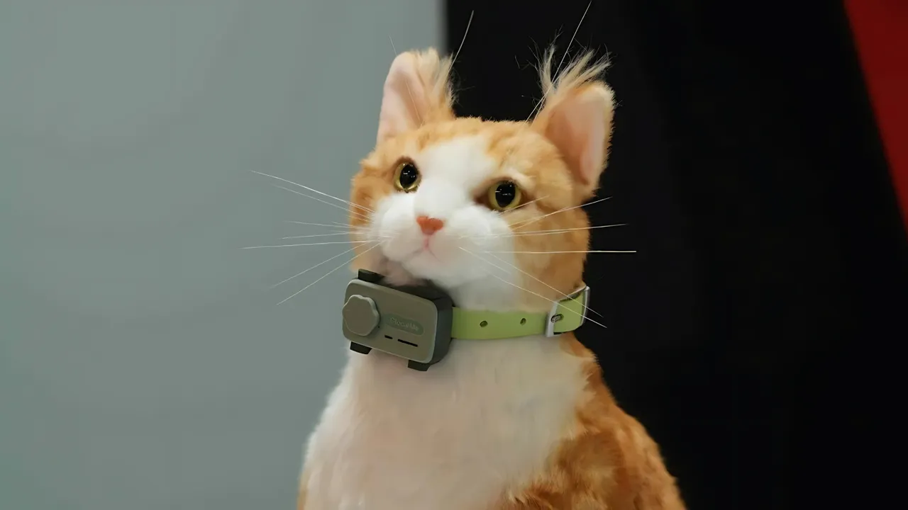 PetPhone