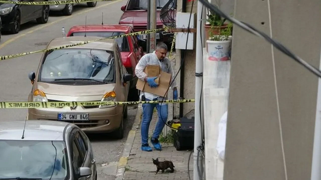 Korkunç cinayette kan donduran detaylar: 'Misafirler gidince babamı çekyatın altından çıkarıp kesmeye devam ediyormuş'