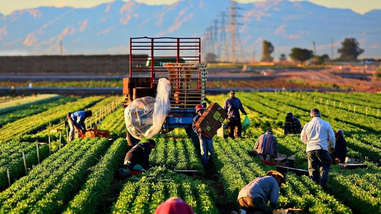 Tarımsal ücretlere rekor zam! İşçilerinin maaşları ikiye katlandı