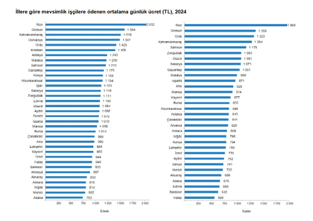 Tarımsal ücretlere rekor zam! İşçilerinin maaşları ikiye katlandı