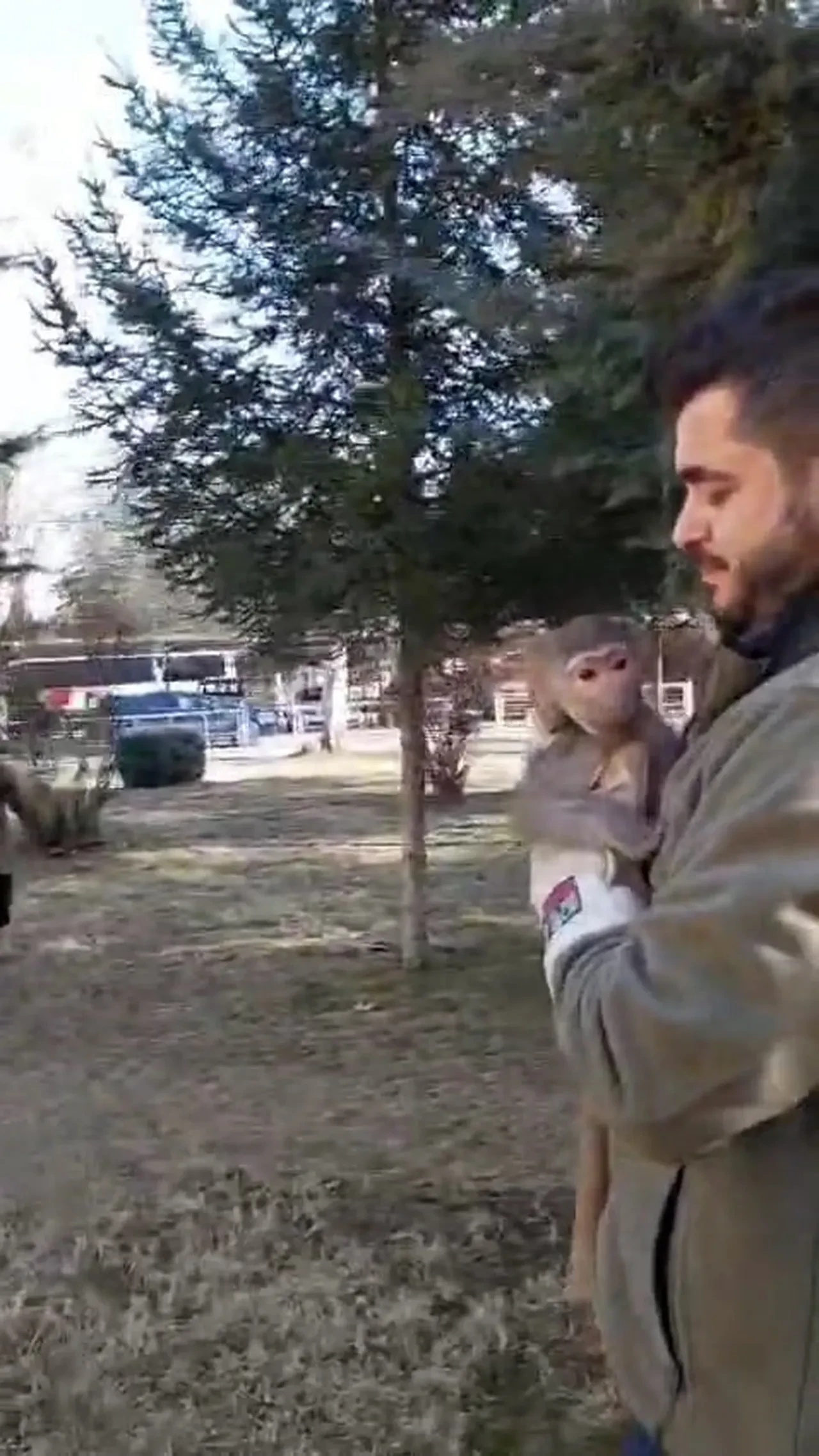 Elazığ'da bir vatandaş yolda maymun buldu! Sıkı sıkı sarıldı, bırakmak istemedi 