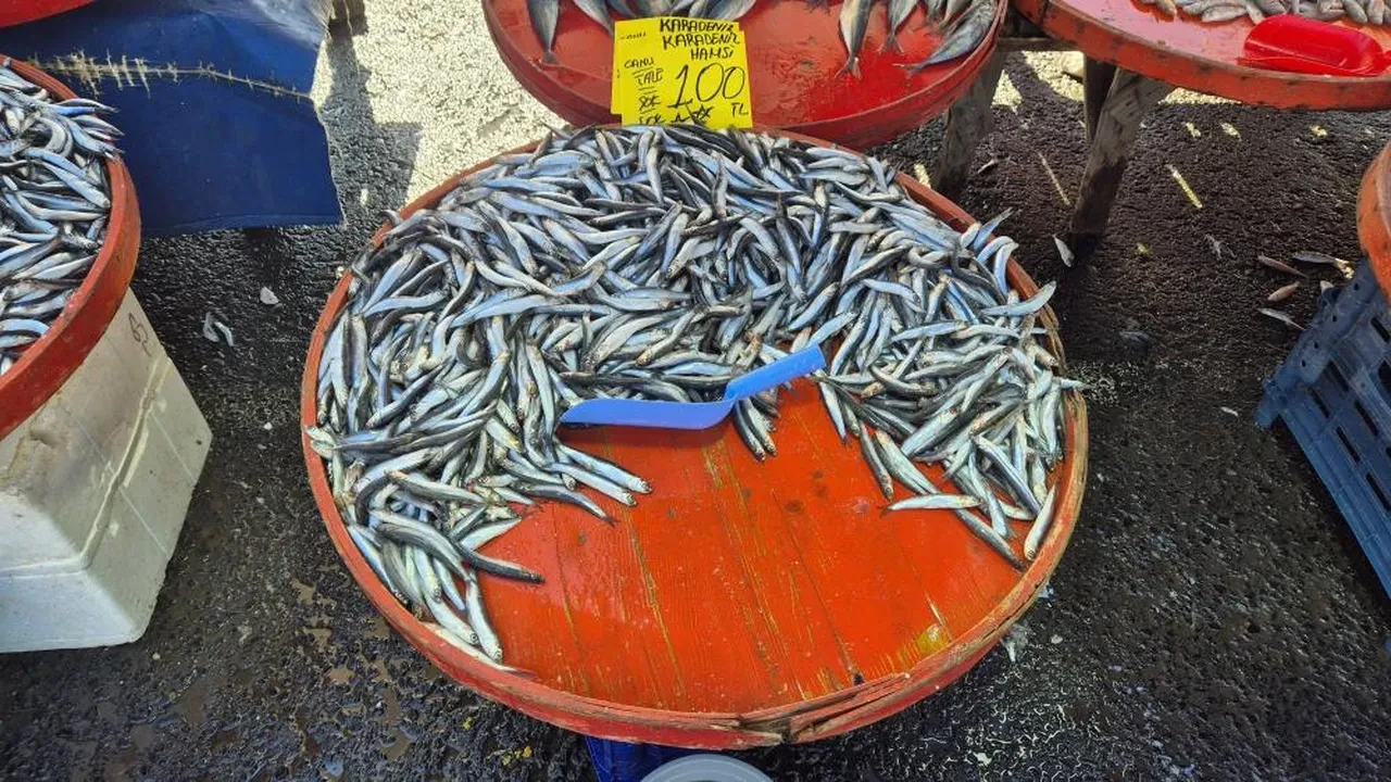 Ramazan bolluğu yaşanıyor: Hamsi ve istavritin fiyatı belli oldu!