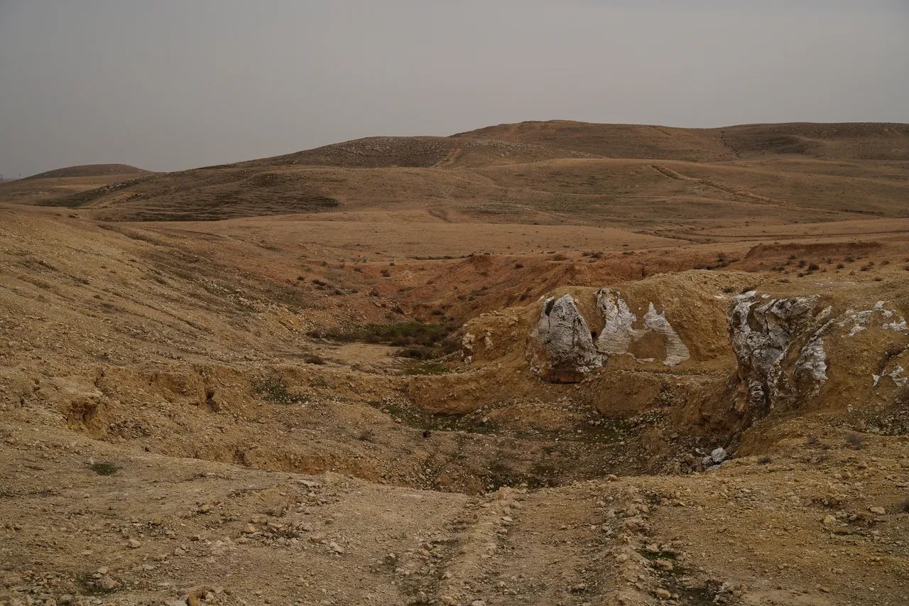 Türkiye'nin sınırında ölüm çukuru: 2 binden fazla ceset çıkarılacak