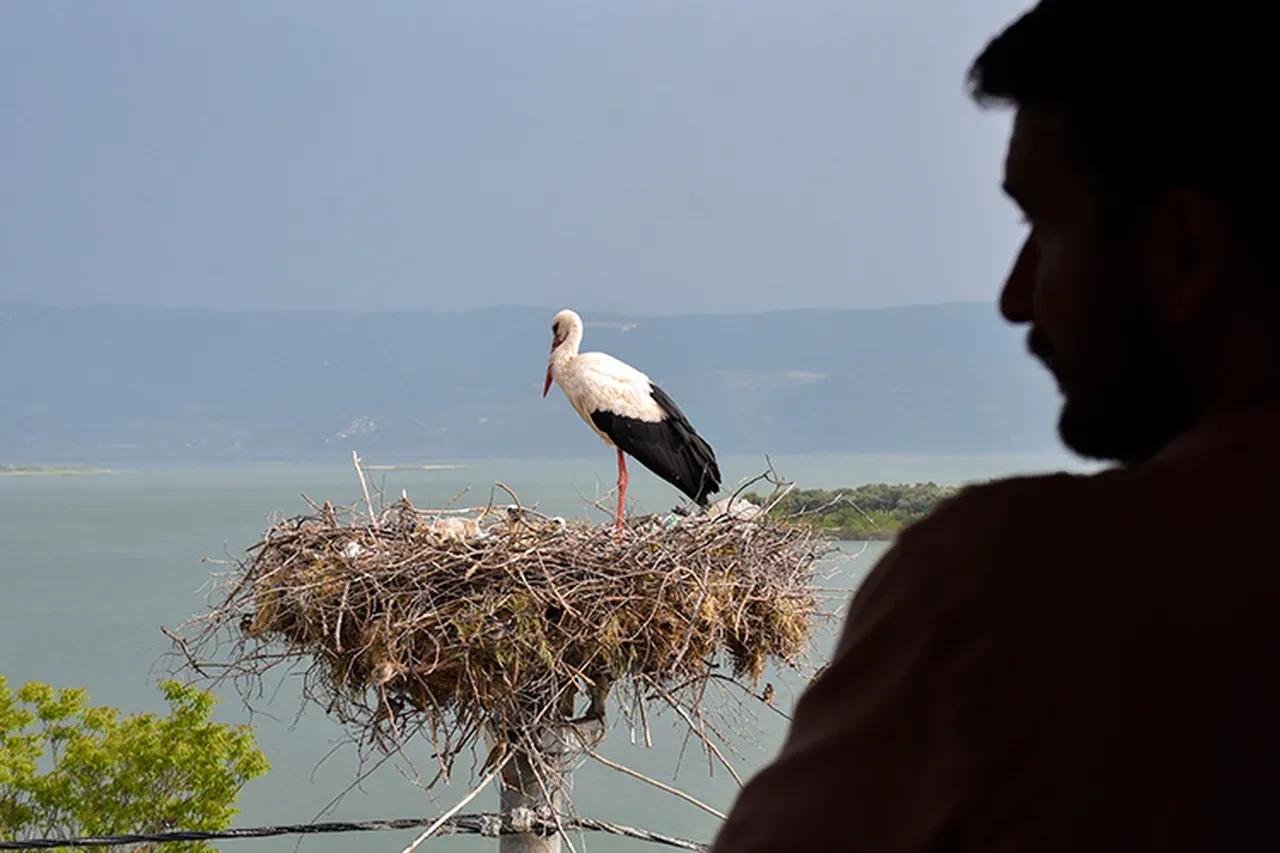 Yaren Leylek geldi mi 2025? Nerede olduğu canlı olarak takip ediliyor