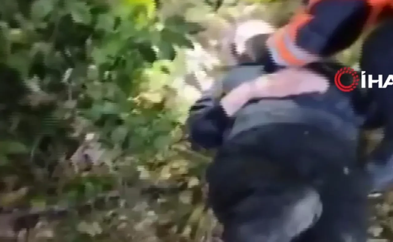 Ece Gürel'in ölüm nedeni belli oldu! Sağlık Bakanı Memişoğlu'ndan açıklama