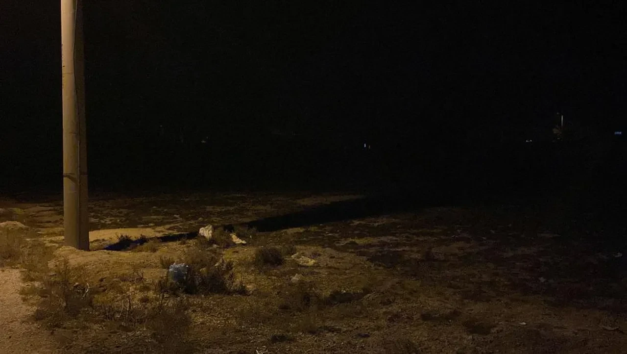 Konya'da 2 yaşındaki çocuğun köpek saldırısında ölümüne ilişkin soruşturma