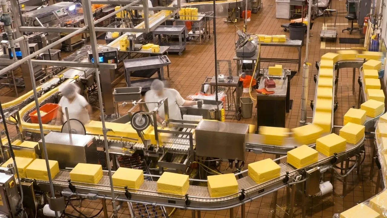 Ambalaj sektöründe dış ticaret fazlası katlanarak artıyor! 2025'te hızlı büyüme beklentisi