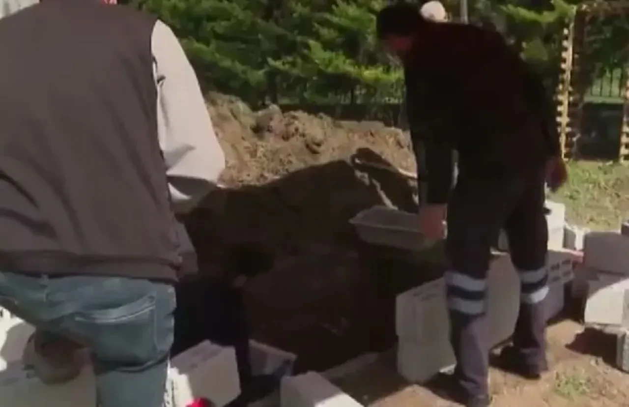 Volkan Konak'ın vasiyeti yerine getirilecek! Dikkat çeken ceviz ağacı detayı