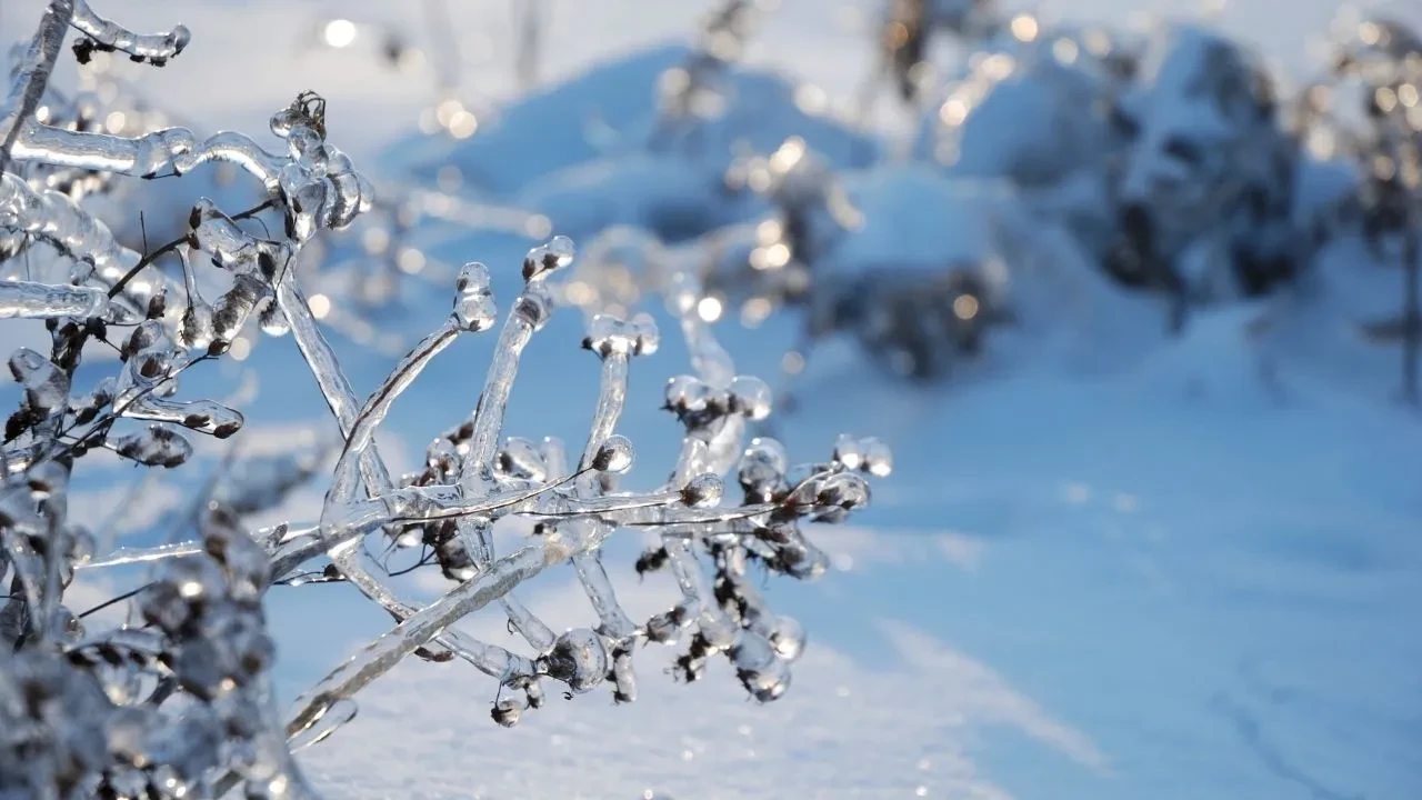 Atkı bereleri çıkartın: Kar geri geliyor! O iller sabaha bembeyaz uyanacak